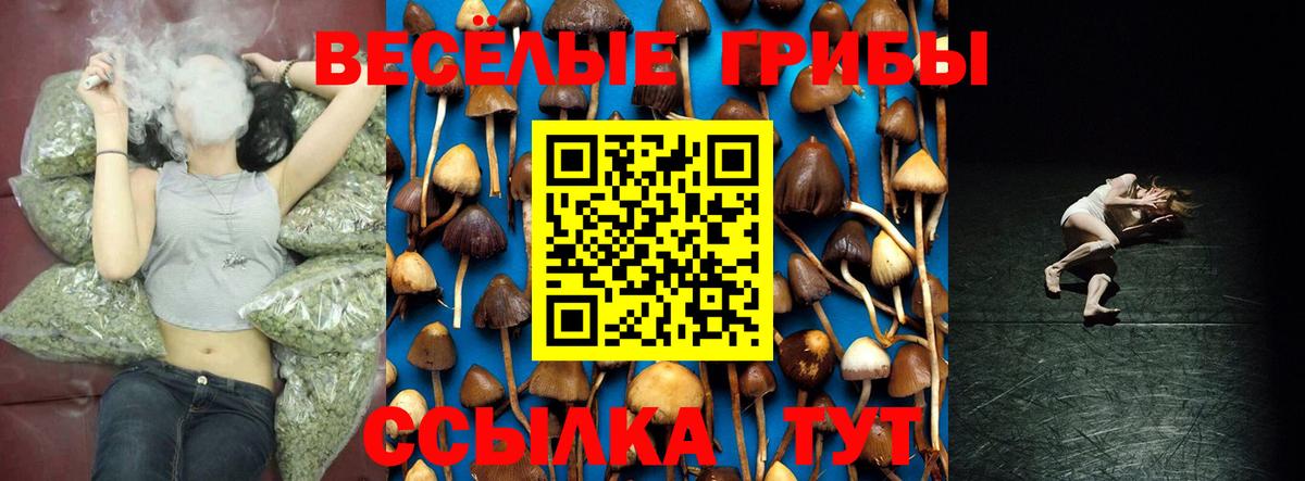 Галлюциногенные грибы прущие грибы  Галлюциногенные грибы ЛСД  Чернушка  хочу   Вход с VPN 